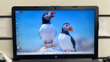 HP 250 G7 Core i5 8th 8GB 15.6" Windows 11 Laptop with SSD ACL385